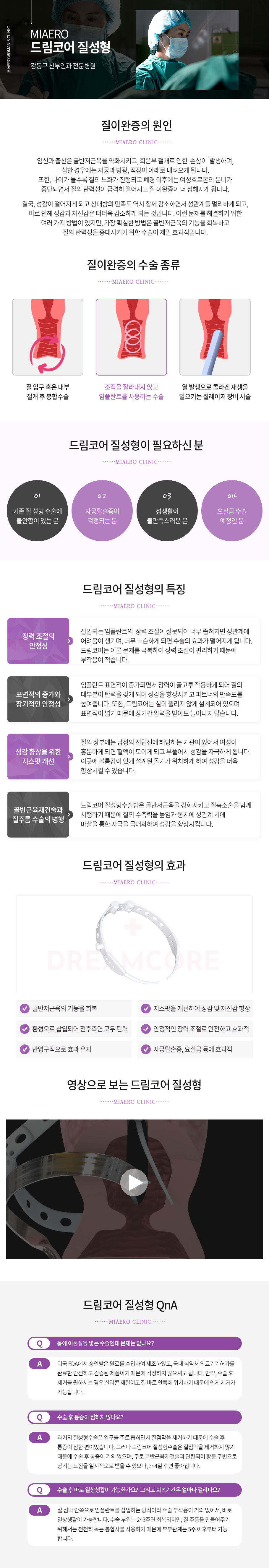 드림코어질성형